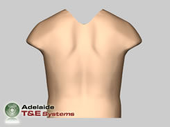 HTS Outer Skin/Soft Tissue Assembly